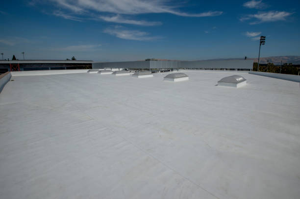Best Roof Coating and Sealing  in North Seekonk, MA