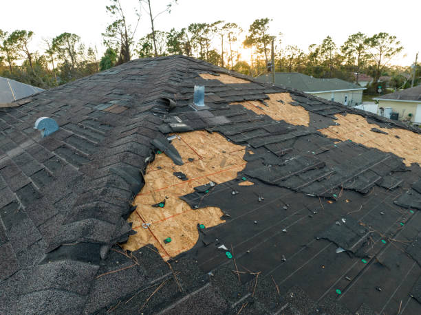 Professional Roofing in North Seekonk, MA